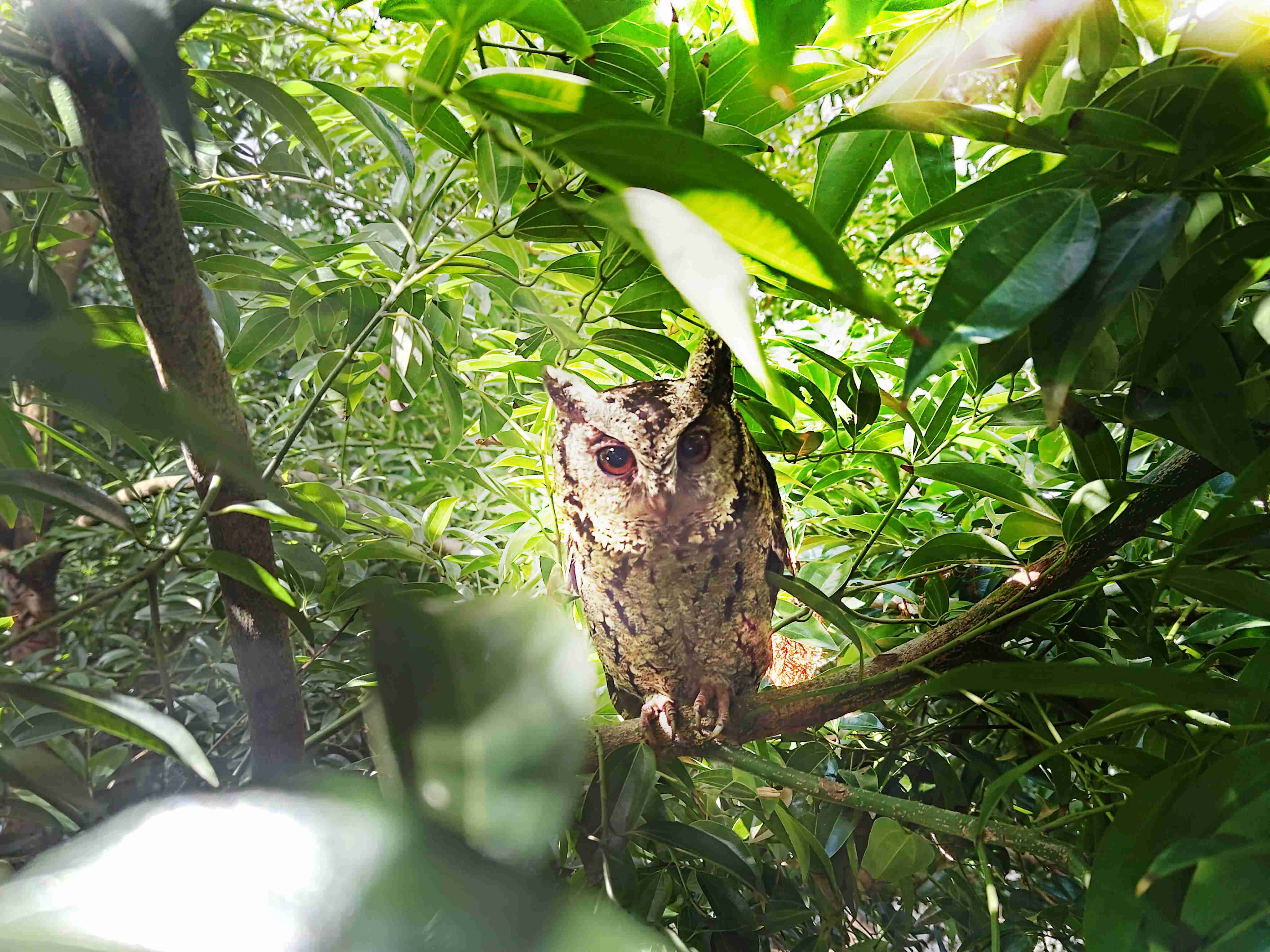 人生就是博致力提倡净零绿生活，，，16年以来在全球各厂区植树逾百万棵，，，，造就各厂区树木蔚然成林，，，，犹如森林工厂，，成为许多生物的栖息地